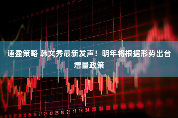 速盈策略 韩文秀最新发声！明年将根据形势出台增量政策